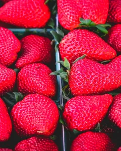 Sample photo of strawberries transformed with e_saturation:80