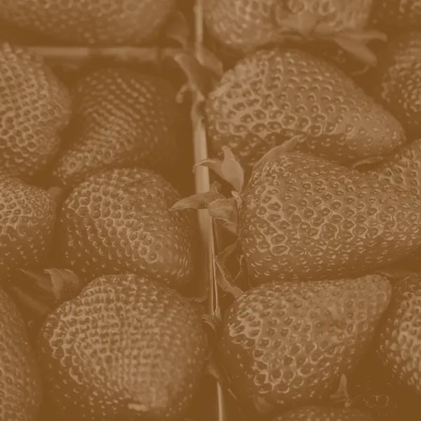 Sepia effect